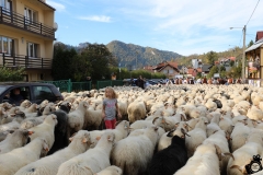 redyk-Szczawnica-X-2019-f-87