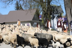 Święto baców f.kk, 22.04.18 Ludźmierz (205)