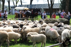 Święto baców f.kk, 22.04.18 Ludźmierz (26)