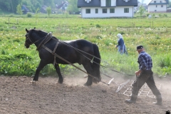 len1-fot.-sianie-KGW-Srom.W.-5.05.18r.-f-30